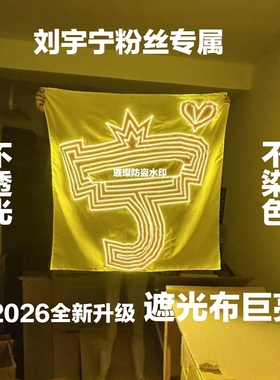 刘宇宁应援灯牌（限时活动）超薄贴片头戴胸牌相机灯牌LED演唱会