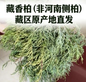 藏香柏正宗新鲜秘境藏香独特天然植物净化香薰松柏香香藏家用香薰