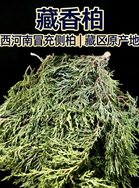 藏香柏正宗新鲜秘境藏香独特天然植物净化香薰松柏香香藏