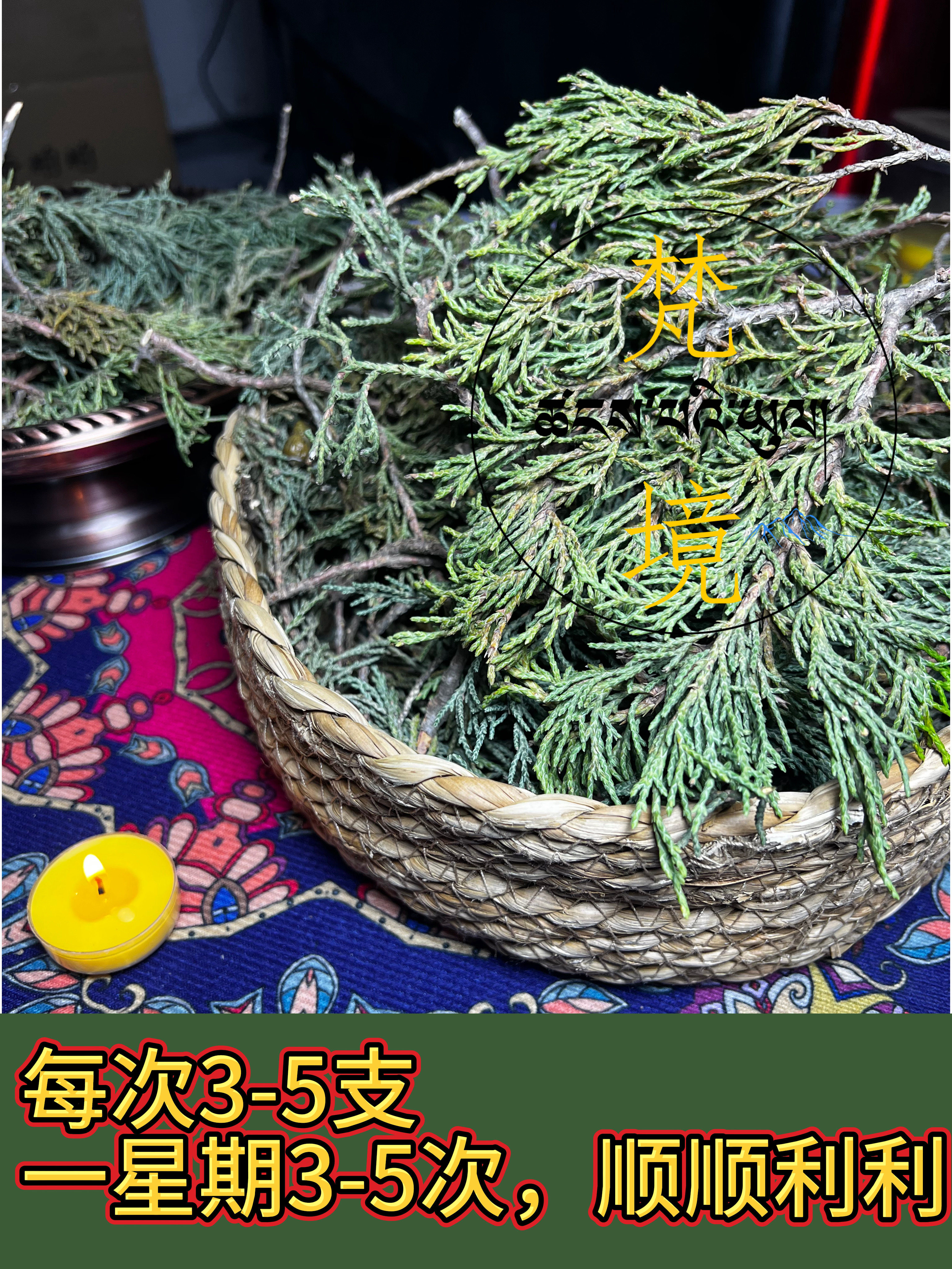 【藏 香 柏】特级师傅新鲜采摘来自海拔4000米藏区采摘家用香薰图片