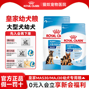 皇家狗粮幼犬粮MAJ30大型犬金毛专用奶糕幼犬狗粮MAS30离乳期4kg