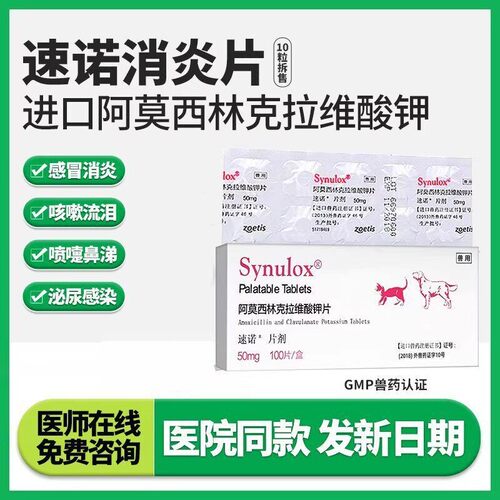 阿莫西林猫狗消炎感冒药