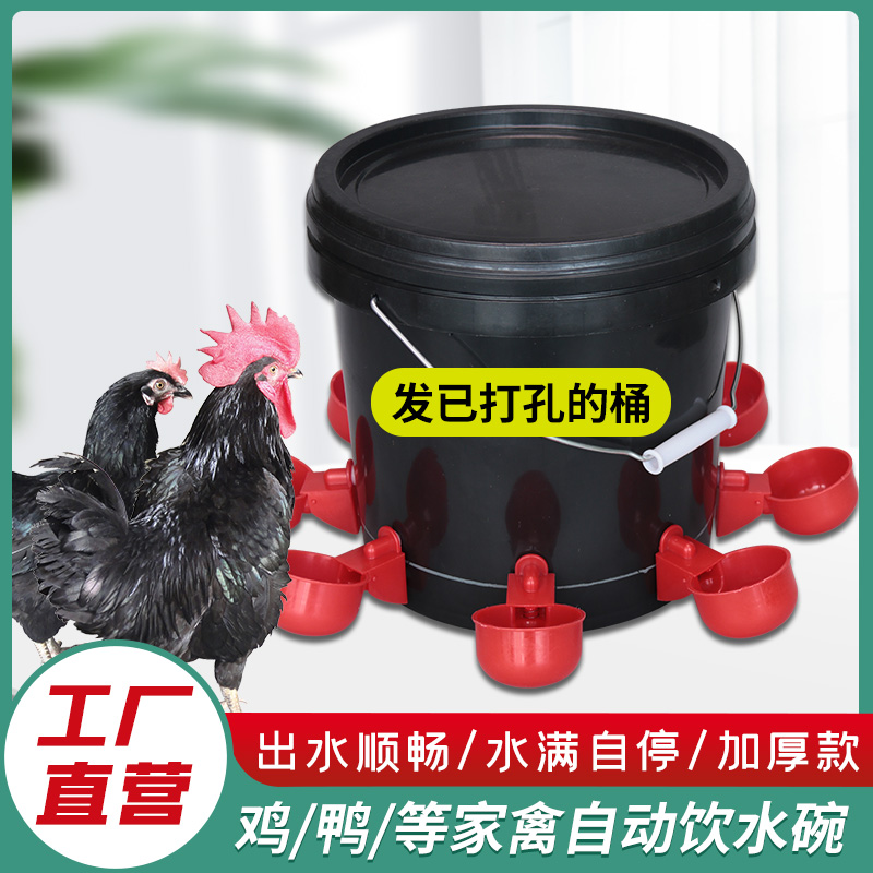 鸡鸭鹅自动水碗饮水器养鸡养殖设备喂鸽子水碗鸟饮水器鹌鹑鸡水槽