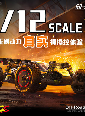 雷拉洛 1/12 X12S 3S无刷RC遥控四驱电动越野车竞速玩具车