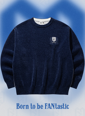 安踏樊振东系列 | 男女同款休闲针织卫衣圆领套头长袖172628703R