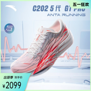 安踏C2025代GTPro马拉松跑鞋