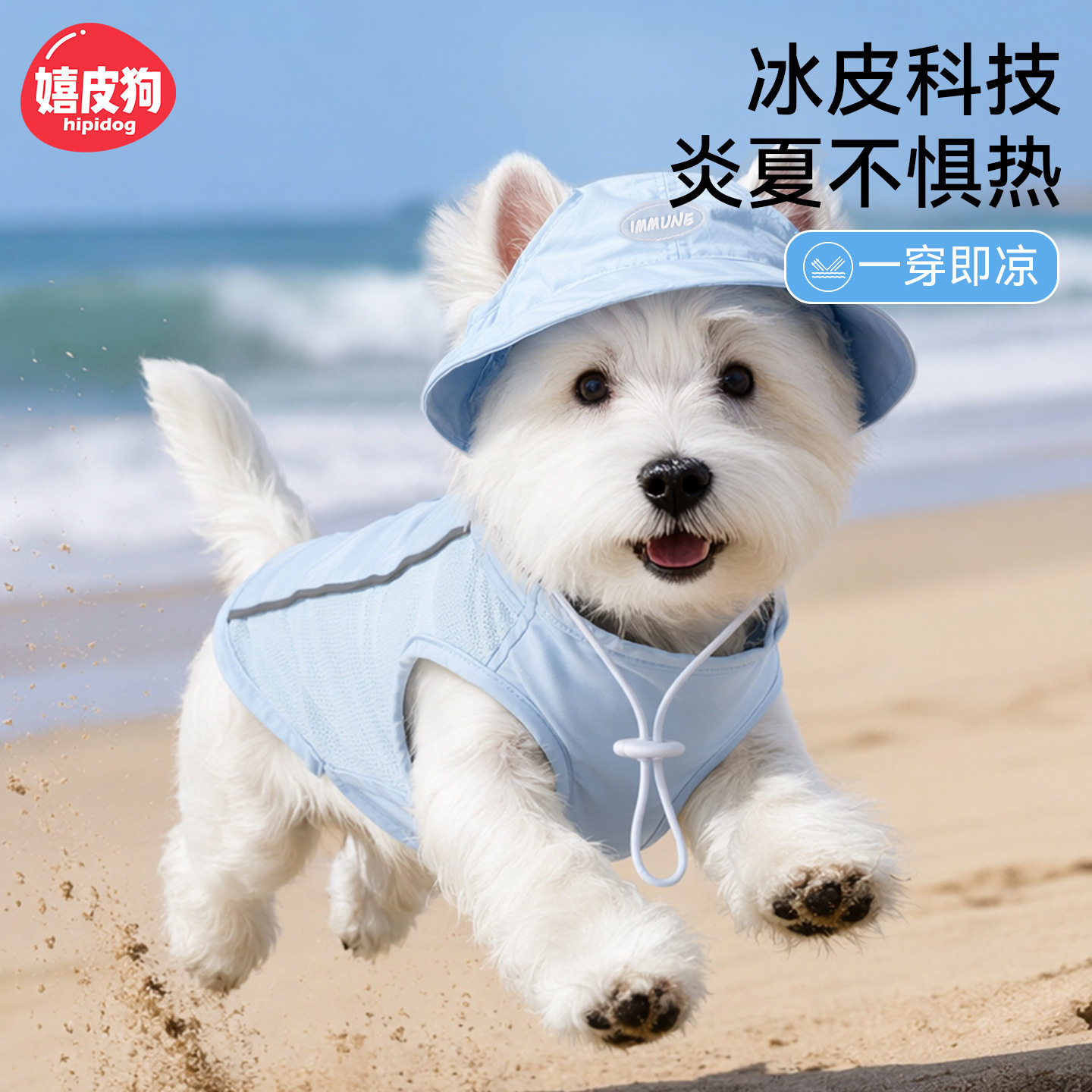 小狗凉凉衣春夏季薄款透气小型犬比熊户外带帽防晒衣宠物狗狗背心