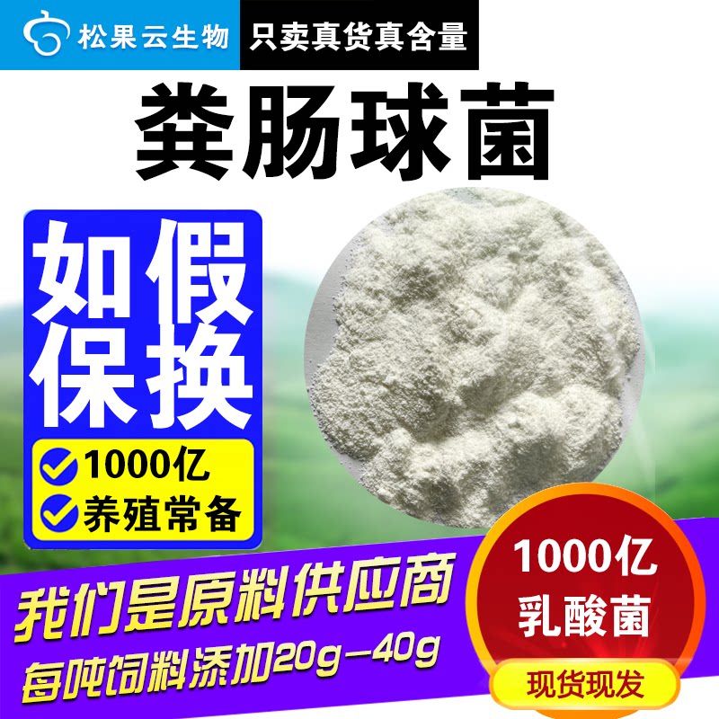 乳酸菌水产养殖专用1000亿粪肠球菌家禽水产养殖鱼塘虾塘用改良剂