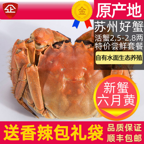 苏州大闸蟹遇见阳澄鲜活螃蟹礼盒