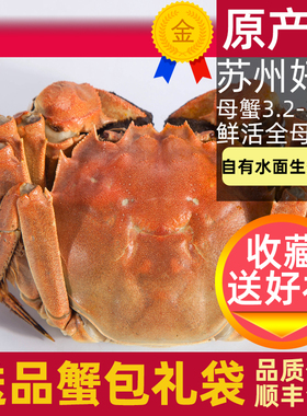 活蟹10只苏州大闸蟹阳澄鲜活大螃蟹全母蟹3.2-3.5两河蟹中秋礼盒