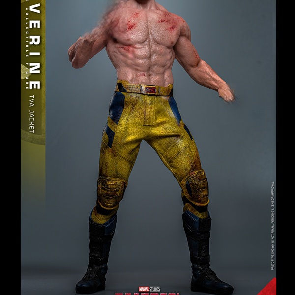 兵人1/6Hottoys死侍与金刚狼