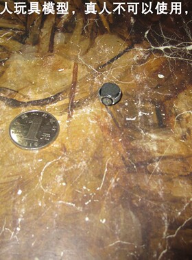 百分之三兵人1/6 hottoys 007无暇赴死 詹姆斯·邦德 礼服版 表