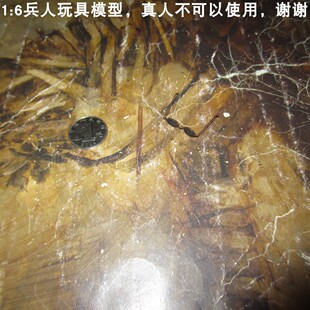 百分之三兵人  1/6 DID 80101 芝加哥黑帮2 青年版教父 墨镜 一10