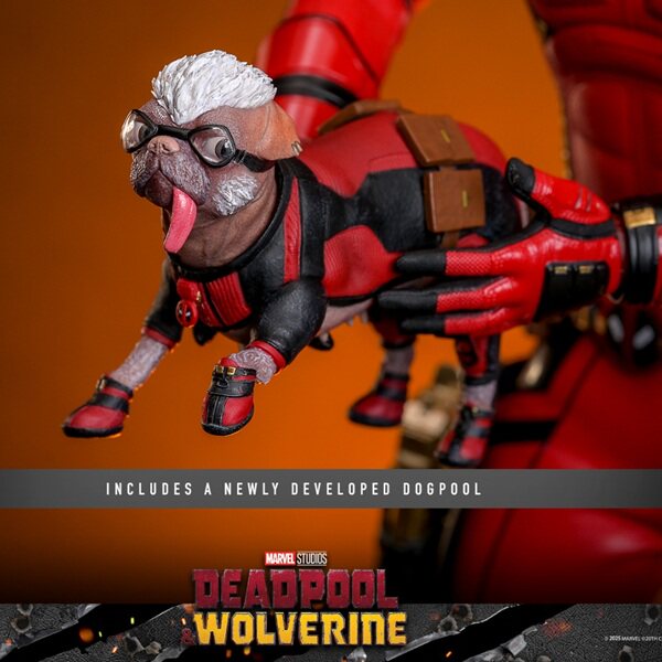 兵人1/6hottoys死侍与金刚狼