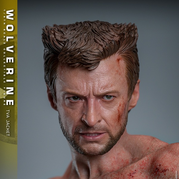 兵人1/6Hottoys死侍与金刚狼