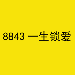 8843一生锁爱项链