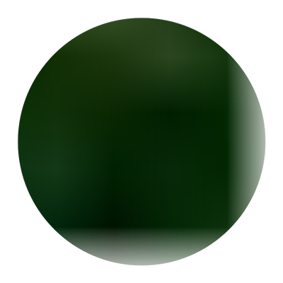 文竹盆栽植物花卉室内四季常青