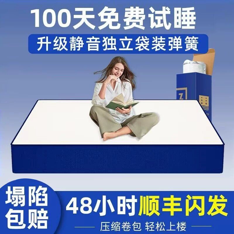 德国进口压缩记忆棉床垫席梦思垫