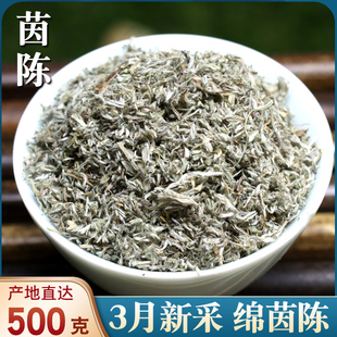 茵陈500g包邮 中药材野生棉茵陈草 茵陈红枣茶茵陈蒿孕妇白蒿新鲜