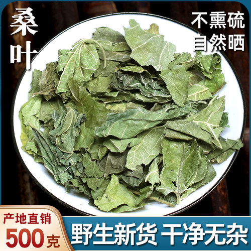 桑叶中药材霜打霜后干桑叶泡水喝
