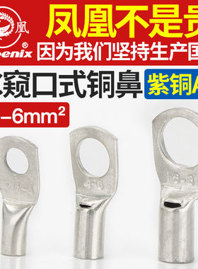 铜接头国标紫铜接线端子接线端子
