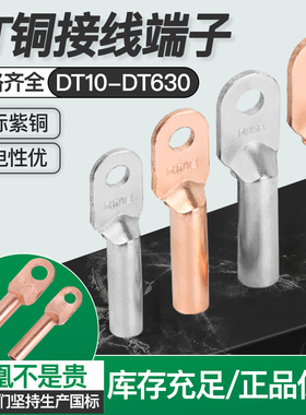 凤凰铜鼻子DT-16 25/35/50/70/95/120/150240线鼻铜接头接线端子