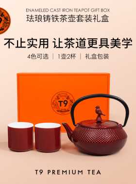 T9珐琅壶彩色手工铸铁珐琅壶泡茶烧水壶摆件围炉煮茶300ml礼盒