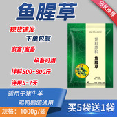 鱼腥草粉末兽用鱼腥草粉鱼腥草散猪牛羊禽鸡药鸭用呼吸道