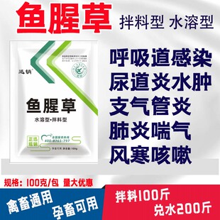 鱼腥草粉末兽用禽药鸡药猪牛清热解毒水中尿道炎感冒咳嗽消肿排毒