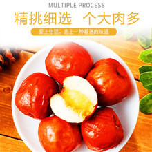 【顺源堂脆冬枣35gx5袋】香酥脆枣红枣无核红枣干零食酥脆枣酥脆