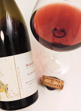 Cassiopee Le Saugeot 2021 仙后座酒庄 黑皮诺 干红 原瓶进口