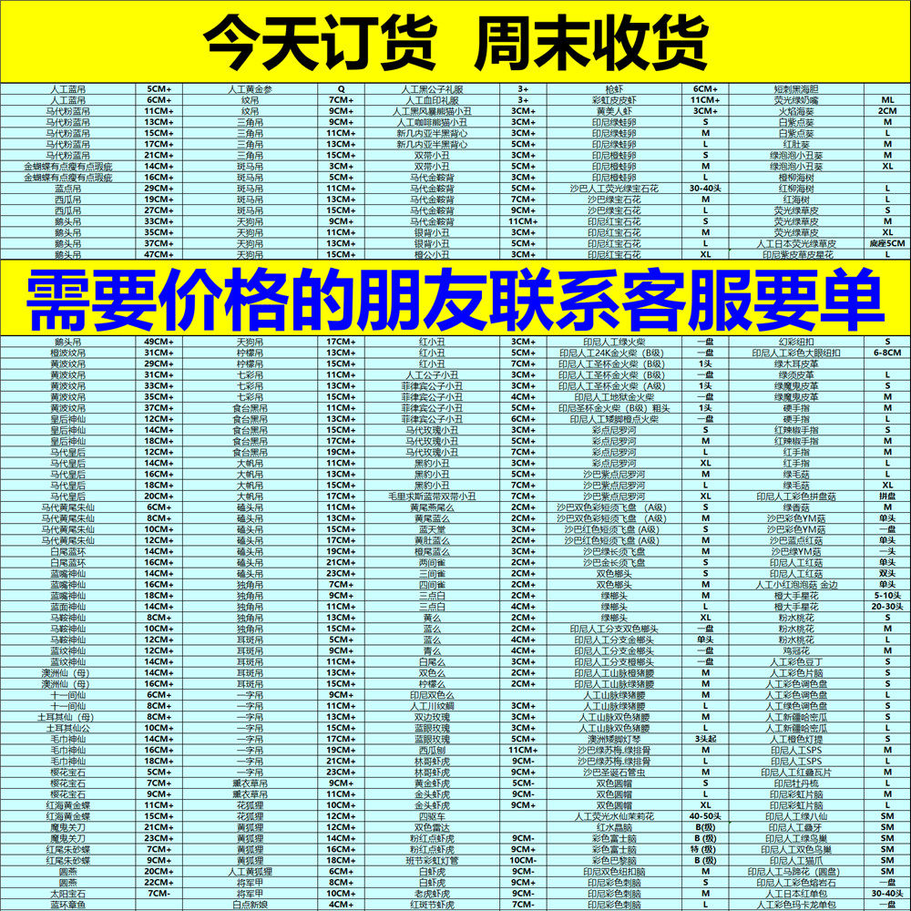 3月29日现货库存！机场自取！快递到家！顺丰报损到家 吊鲽仙珊瑚