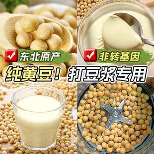 东北黄豆打豆浆专用大豆新货非转基因专用豆子五谷杂粮农家老品种
