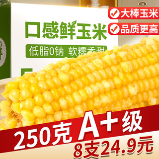 新鲜黄糯玉米甜糯玉米非即食东北黏玉米粒香粘非转基因黑玉米早餐