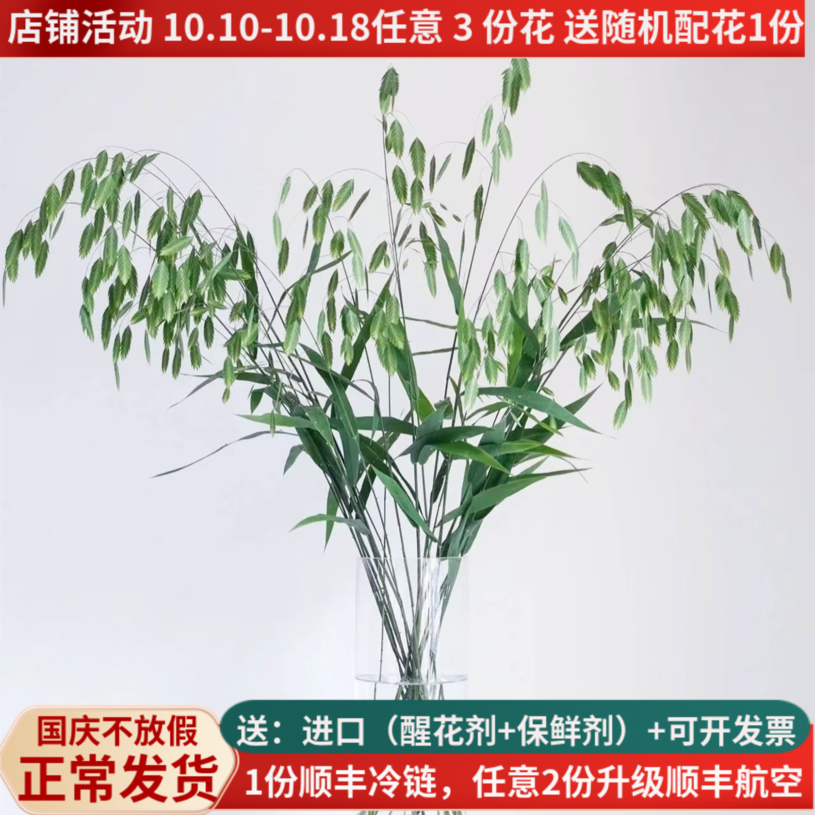 鲜花花卉小盼草云南基地直发家用水养婚庆花束昆明配草教师节顺丰