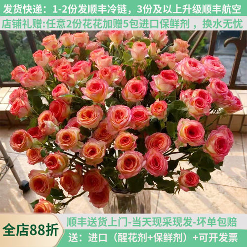 爱丽丝多头玫瑰泡泡商婚礼基地
