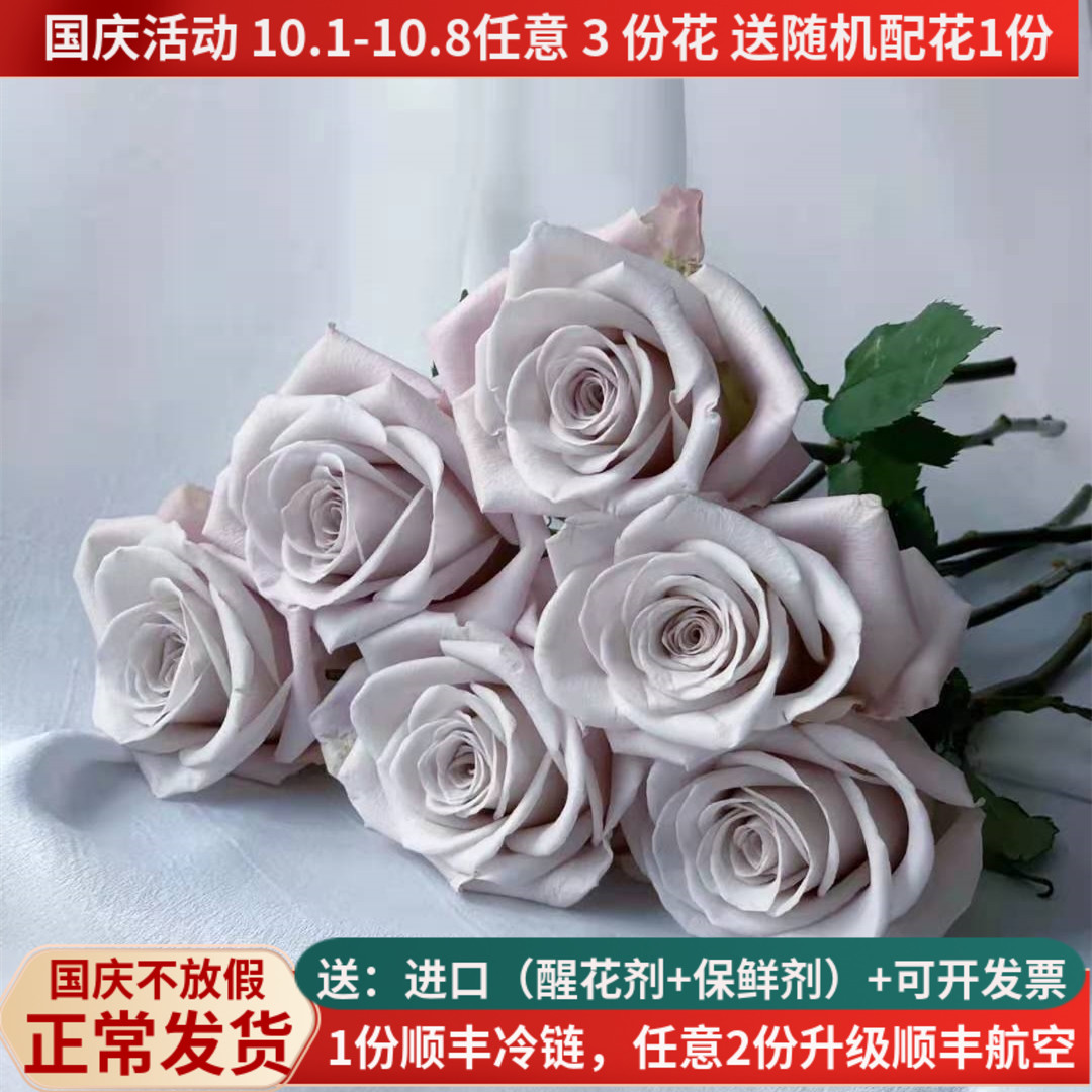 A级稀有玫瑰鲜花曼塔灰色情人节
