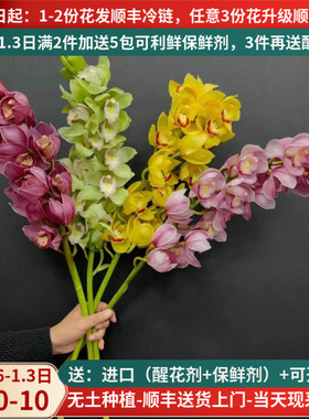 大花蕙兰鲜切花云南鲜花基地直发昆明斗南市场家用水培年宵花插花