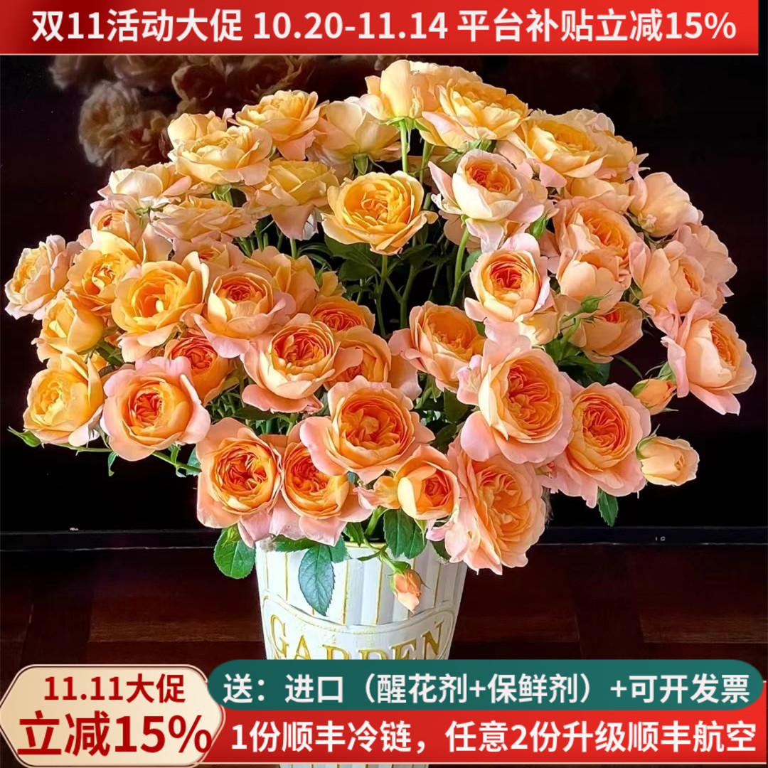 鲜切花多头玫瑰花果汁阳台泡泡云南基地直发家用水养插花束顺丰橙