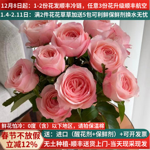 凯瑟琳粉色玫瑰花束云南昆明斗南鲜花基地直发顺丰生日礼物送人花