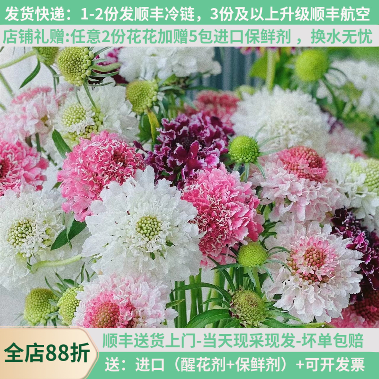 虫草鲜花航空发家水养昆明斗南