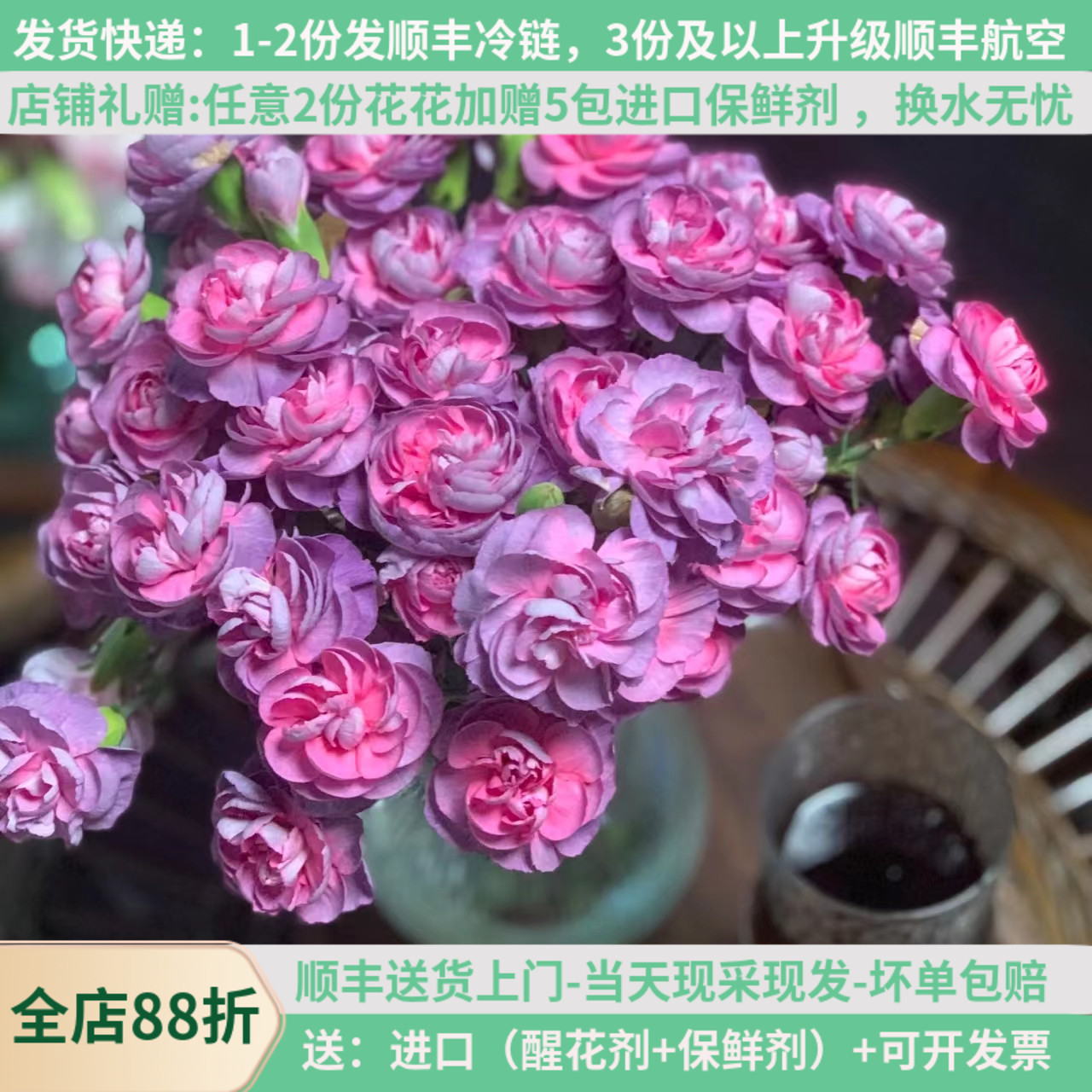 稀有多头康乃馨云南基地直发