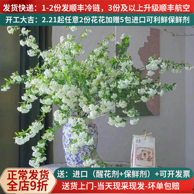 鲜花小手球爆花小能手基地直发