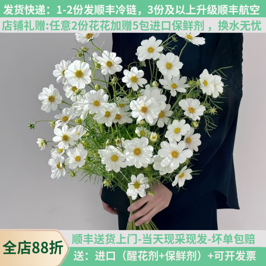 白色格桑花束昆明直发顺丰保鲜