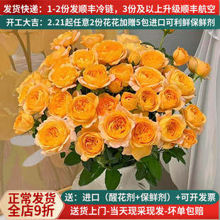 多头玫瑰橙色芭比巧克力鲜花云南直批家用花束基地直供泡泡蔷薇