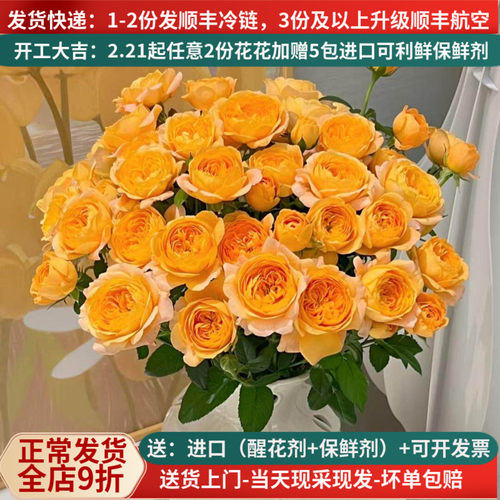 【稀有】多头小玫瑰合集多色