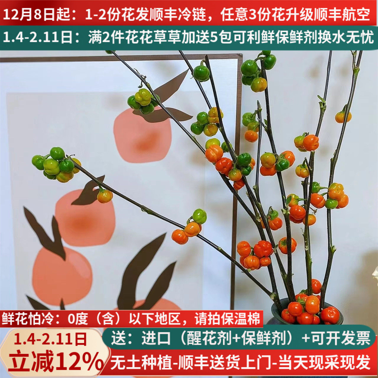 小南瓜尤加利果海棠果长寿果云南斗南直发干花插花秋果实年宵花,鲜花速递/花卉仿真/绿植园艺,花材,淘宝优惠券,粉丝福利购,淘宝优惠卷