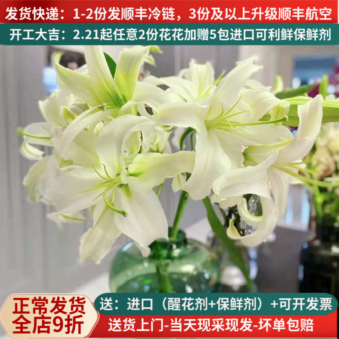 西比利亚香水百合花白云南昆明