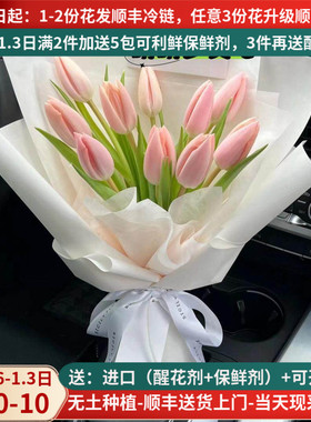 郁金香鲜花云南昆明斗南市场基地直发花直批水养水培花束家用插花