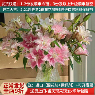 重瓣香水百合花伊莎贝拉多瓣多头云南昆明基地直发婚礼水养插花束
